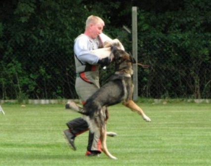 Blitz